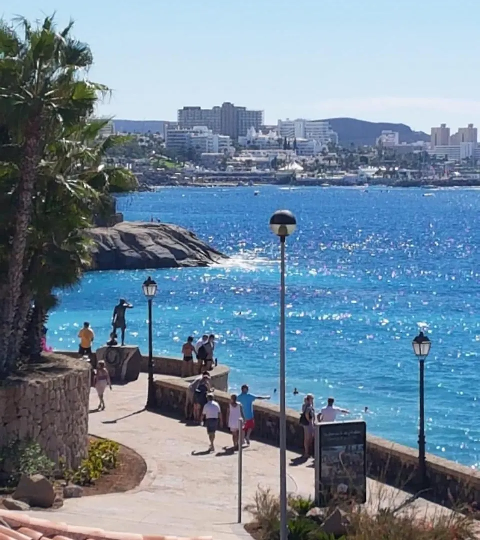 El Beril Villa Costa Adeje